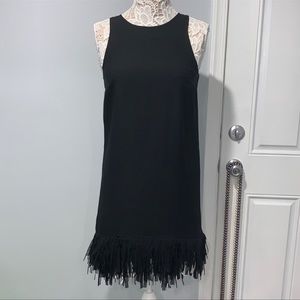 Banana Republic Fringe Hem Shift Dress